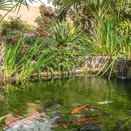 Palmas 2a Oasis Σπίτι διακοπών Nerja