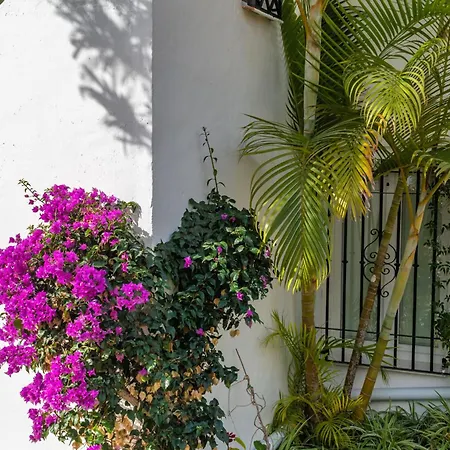 Palmas 2a Oasis Nyaraló